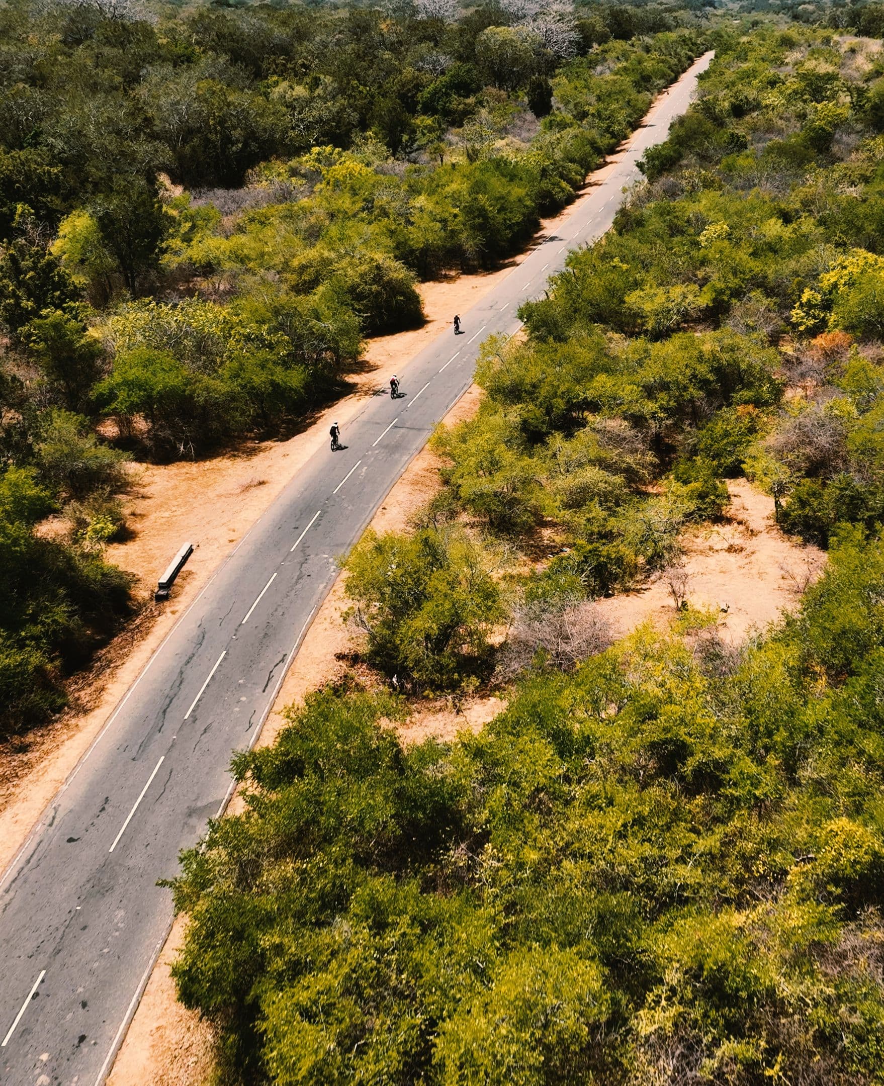 Wild Ceylon background