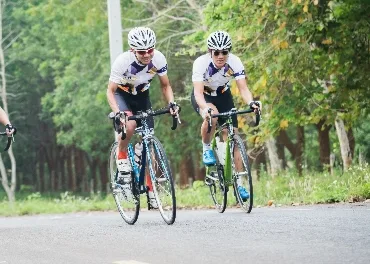 Bikes & Gears photo
