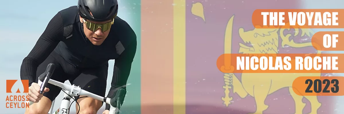 banner-image